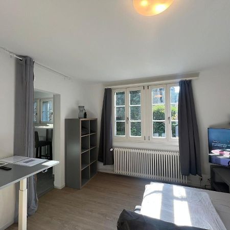 House On Historic City Wall - Freihofapartments Brugg  Extérieur photo
